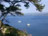Saint-Cyr-sur-Mer - Tourism, holidays & weekends guide in the Var