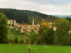 Saint-Didier-sur-Rochefort - Guía turismo, vacaciones y fines de semana en Loira