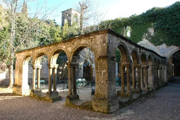 隐修院cordeliers 建筑物在saint Emilion