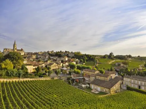 La cité médiévale au coeur du vignoble