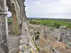 La vue depuis le clocher