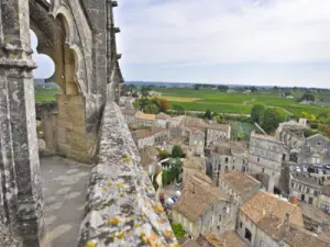 The view from the bell tower