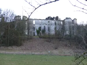 Montgoger Castle