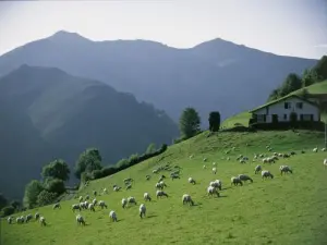 Bandada de ovejas en las alturas del pueblo