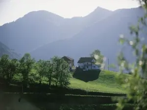 Saint-Étienne-de-Baïgorry高地