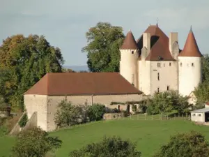 Castillo Verseilles