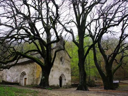 Abadia Notre-Dame de Lure - Monumento em Saint-Étienne-les-Orgues