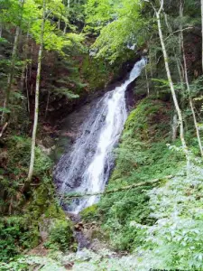 Miraumont waterval