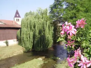 Centre du village (© OT Val de Saône Chalaronne)