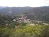 Saint-Étienne-Vallée-Française - Guide tourisme, vacances & week-end en Lozère