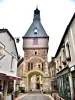 Saint-Fargeau - Tour de l'horloge, vue de l'extérieur de la ville ancienne (© J.E)
