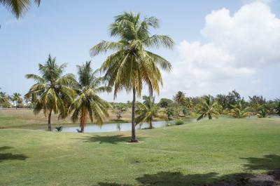 Petit Casino St Francois Guadeloupe Petit Casino St Francois Guadeloupe