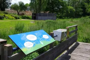 Verloop van de interpretatie van de watertuin