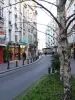 Rue au del dolor