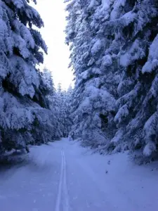 A Winter in Oberösterreich Livradois