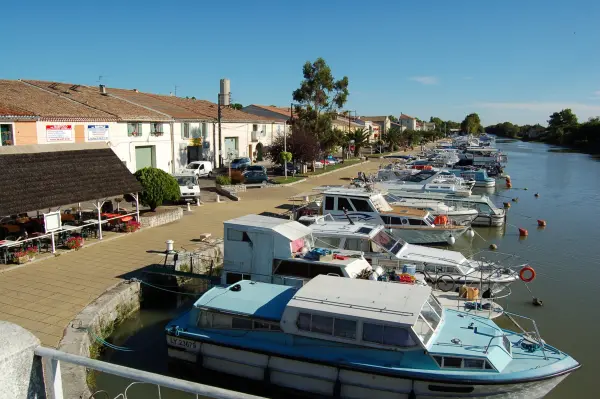 Saint-Gilles - Guia de Turismo, férias & final de semana no Gard