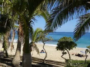 Sea, sun, sand and coconut palms