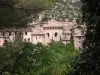 Saint-Guilhem-le-Désert (© Frantz)