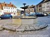 Saint-Hippolyte - Grande fontaine sur la place centrale (© Jean Espirat)