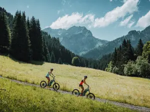 Elektroroller im Sommer