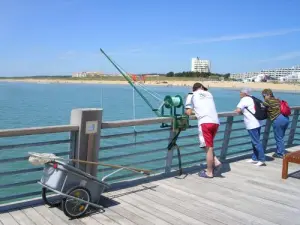 pesca de la solla en la pluma