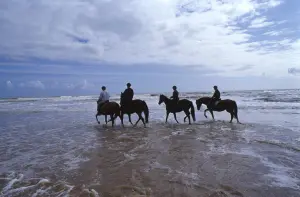 passeggiata a cavallo sulla spiaggia