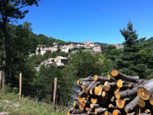 Plaméo, le village et l'église