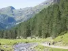 Forêt du Rioumajou - Site naturel à Saint-Lary-Soulan