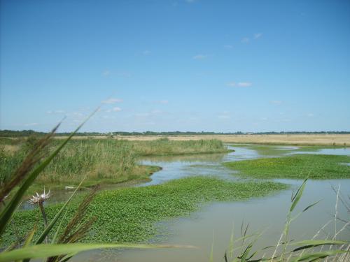 Photos SaintLaurentdelaPrée Tourisme, Vacances & Weekend