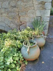 Jars straat Saint-Léons