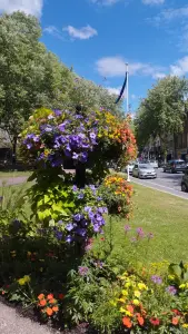 Rue Torteron en été