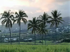 Saint-Louis, Reunion Island