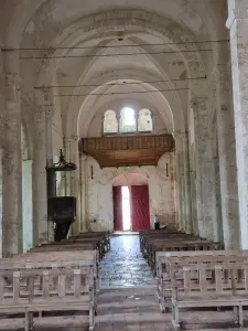 Nave