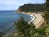 Пляж - Coudoulière - Занятие-досуг — Saint-Mandrier-sur-Mer