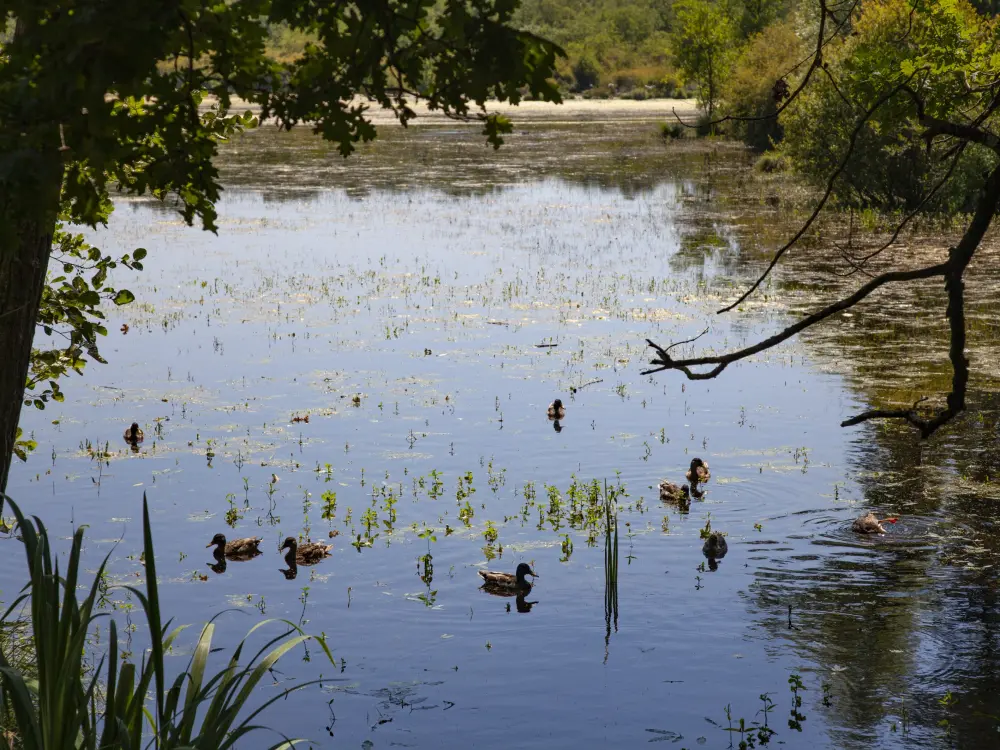 Photos SaintMarslaBrière Tourisme, Vacances & Weekend