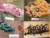Mineralen en fossielenmuseum - Grote met ebben gewapende pirogue
