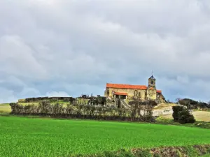 Iglesia de San Martín