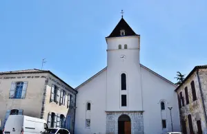Furet  BioVet St-Martin à Saint-Martin-de-Seignanx