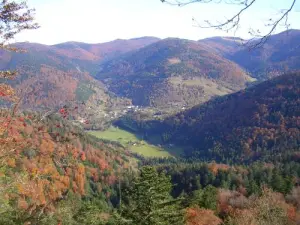 The autumn Charbonniers Valley