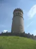 Torre de Avalon - Monumento en Saint-Maximin