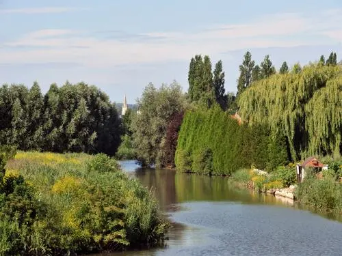 Marais Audomarois (© Carl Peterolff)