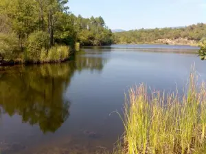 Le lac du Rioutard