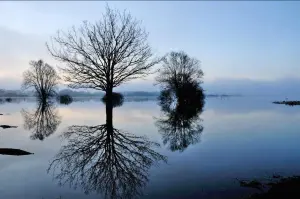 Lac de Grand Lieu