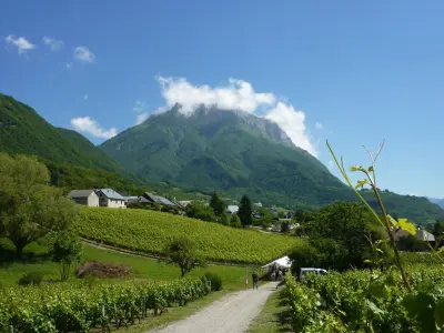 30 chemin de la lettre 73250 st pierre d'albigny
