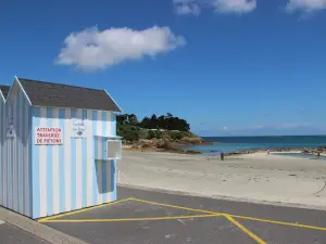 Sainte-Anne en haar slurf met boeken