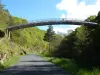 Saint-Préjet-d'Allier - A ponte sifão
