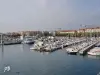 The port