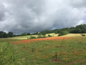 Die Wiesen rund um das Dorf