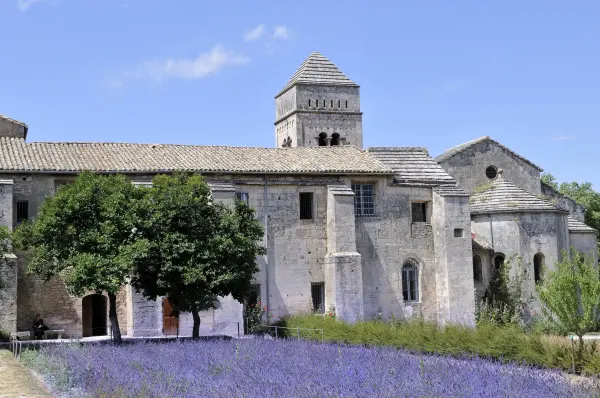 Kloster Saint-Paul und Van-Gogh-Feld