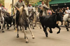 Fêtes de Saint-Rémy - Boulevard en ville